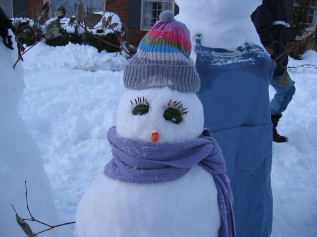 Winter Storm 2004 - Snow Family, photo 17