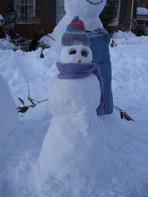 Winter Storm 2004 - Snow Family, photo 19
