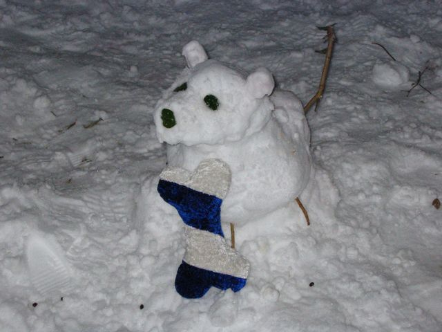 Winter Storm 2004 - Snow Family, photo 20