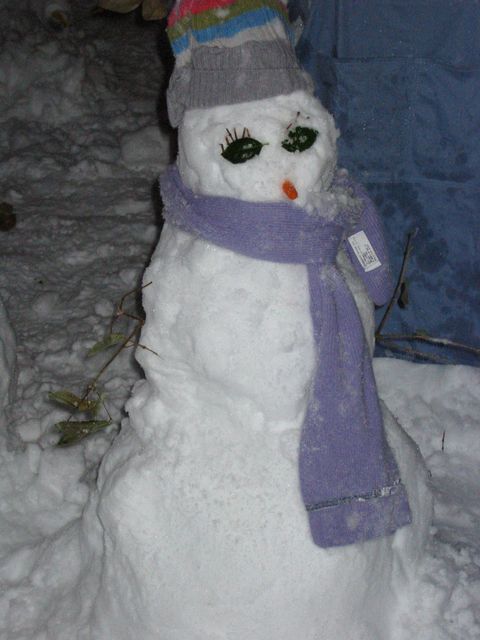 Winter Storm 2004 - Snow Family, photo 21