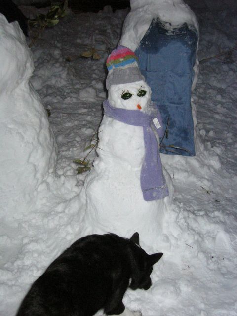 Winter Storm 2004 - Snow Family, photo 22