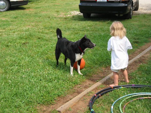 Camping at Wildlife Woods, photo 16