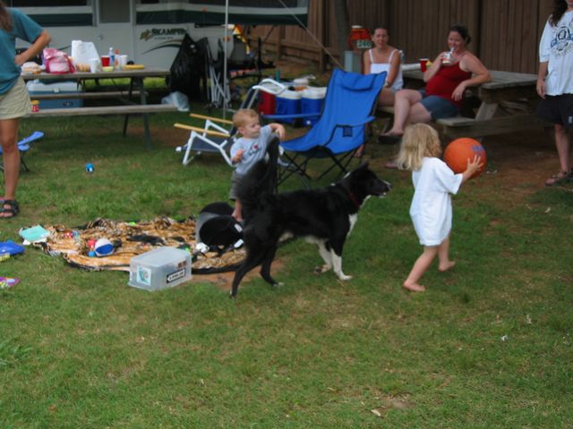 Camping at Wildlife Woods, photo 6