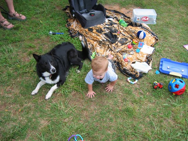 Camping at Wildlife Woods, photo 22