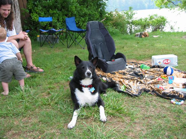 Camping at Wildlife Woods, photo 25