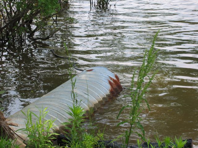 Camping at Wildlife Woods, photo 33