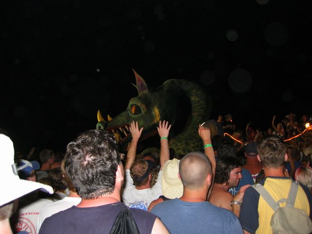 Bonnaroo 2004, photo 63