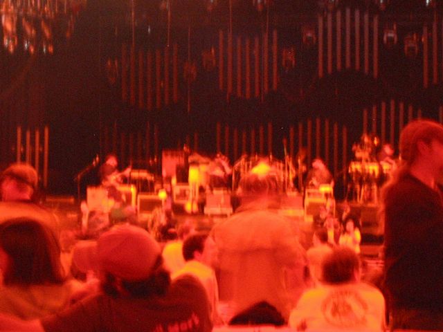 the crowd