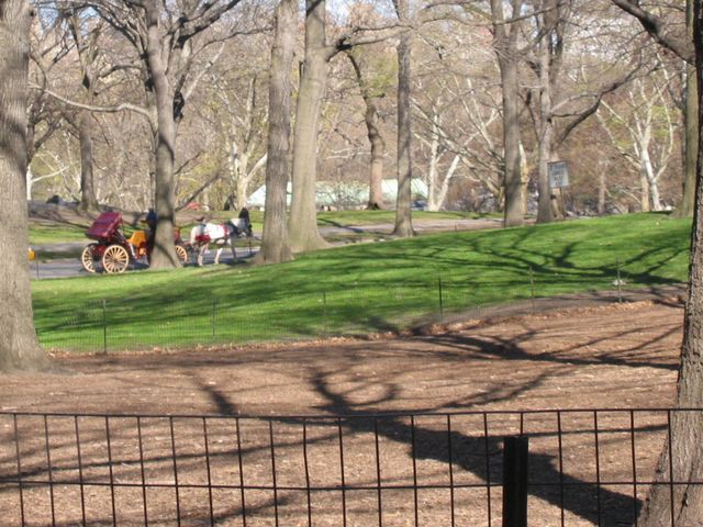 New York City 2005, photo 111