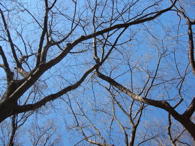New York City 2005, photo 112