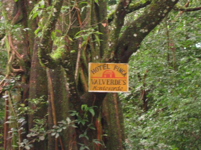 Costa Rica 2005 - Monte Verde, photo 46