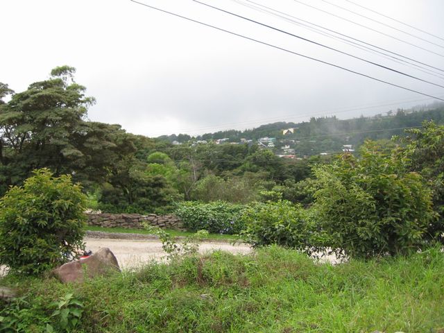 Costa Rica 2005 - Monte Verde, photo 48