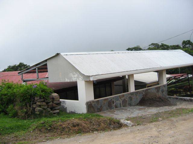 Costa Rica 2005 - Monte Verde, photo 51