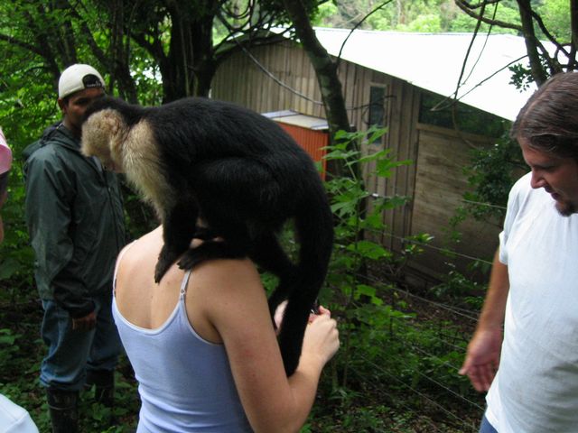 Costa Rica 2005 - Monte Verde, photo 64