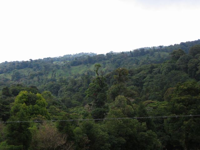 Costa Rica 2005 - Monte Verde, photo 70
