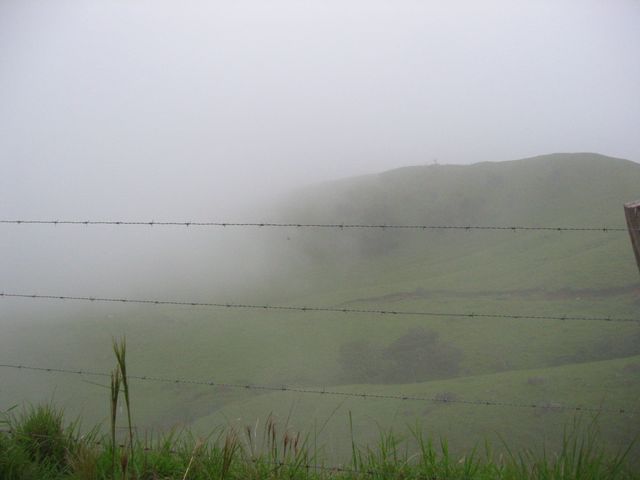 Costa Rica 2005 - Monte Verde, photo 71