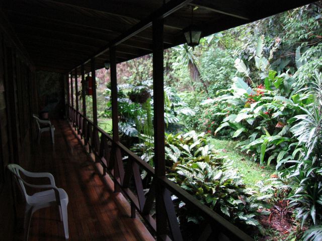 Costa Rica 2005 - Monte Verde, photo 75