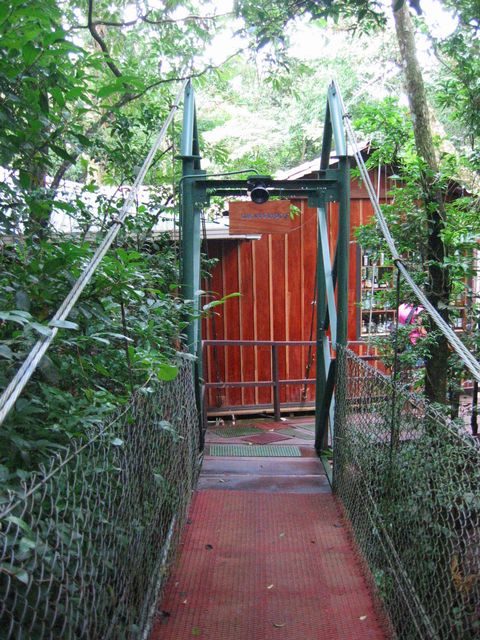Costa Rica 2005 - Monte Verde, photo 80