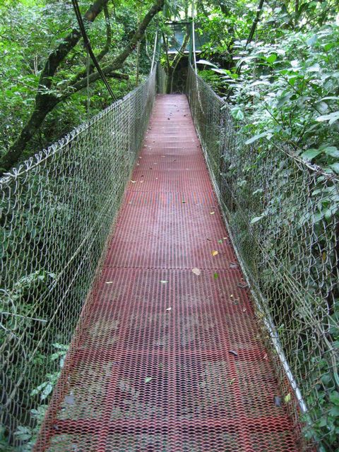 Costa Rica 2005 - Monte Verde, photo 82