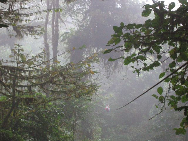 Costa Rica 2005 - Monte Verde, photo 103