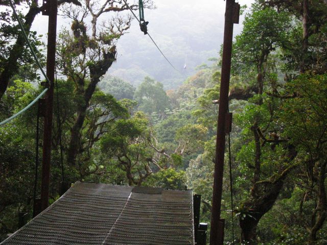 Costa Rica 2005 - Monte Verde, photo 114