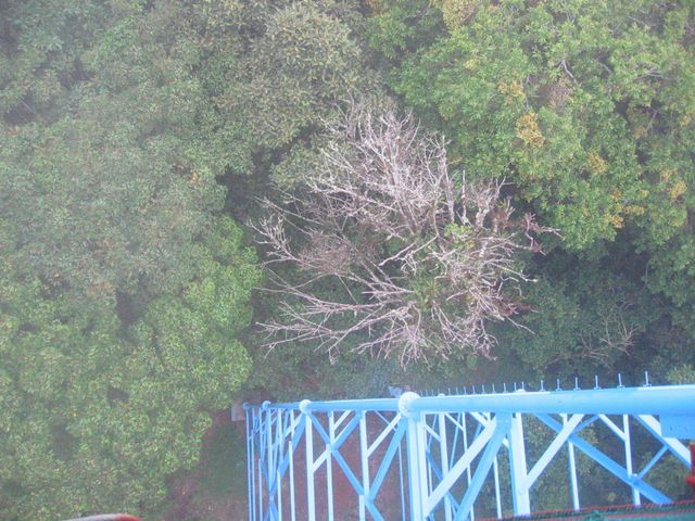 Costa Rica 2005 - Monte Verde, photo 123