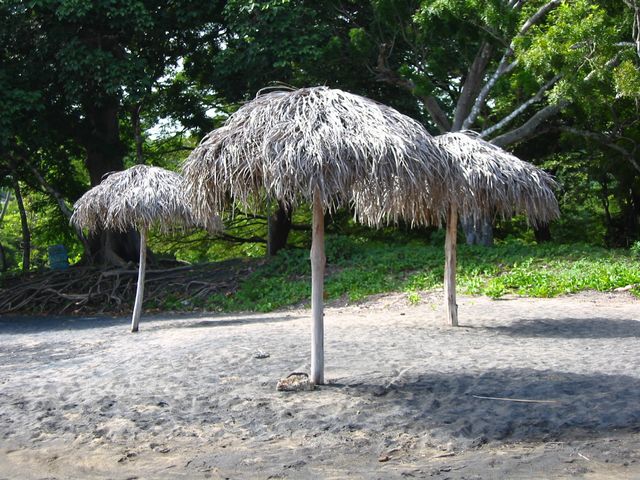 Costa Rica 2005 - El Ocotal, photo 44