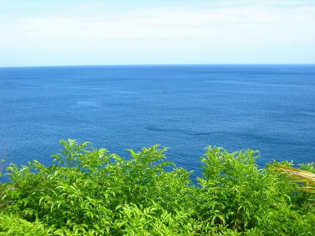 Costa Rica 2005 - El Ocotal, photo 46
