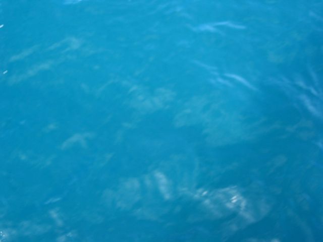Costa Rica 2005 - El Ocotal, photo 58