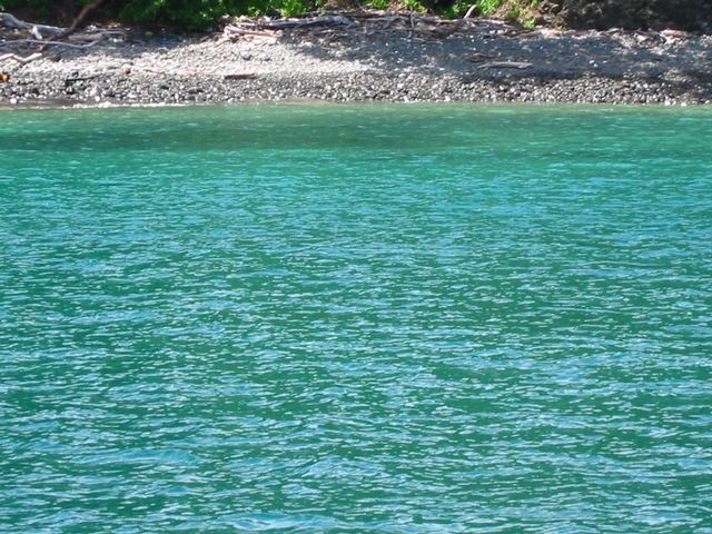 Costa Rica 2005 - El Ocotal, photo 70