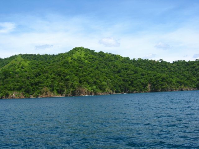 Costa Rica 2005 - El Ocotal, photo 72