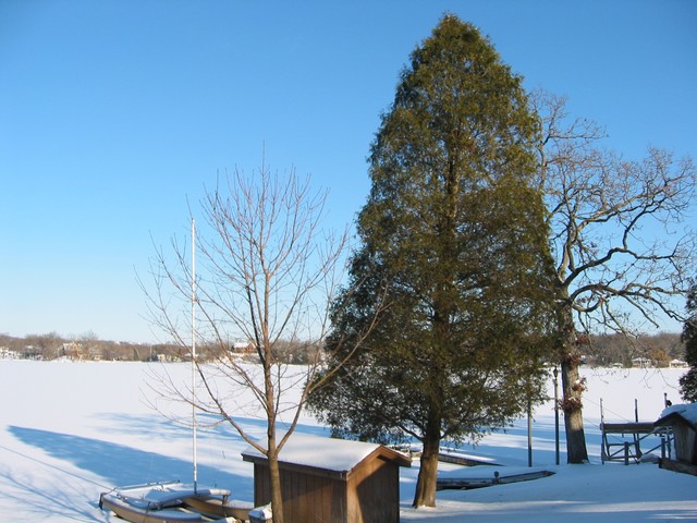 Wisconsin Winter 2006, photo 1