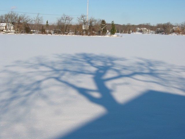 Wisconsin Winter 2006, photo 4