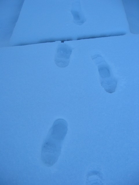 Wisconsin Winter 2006, photo 7