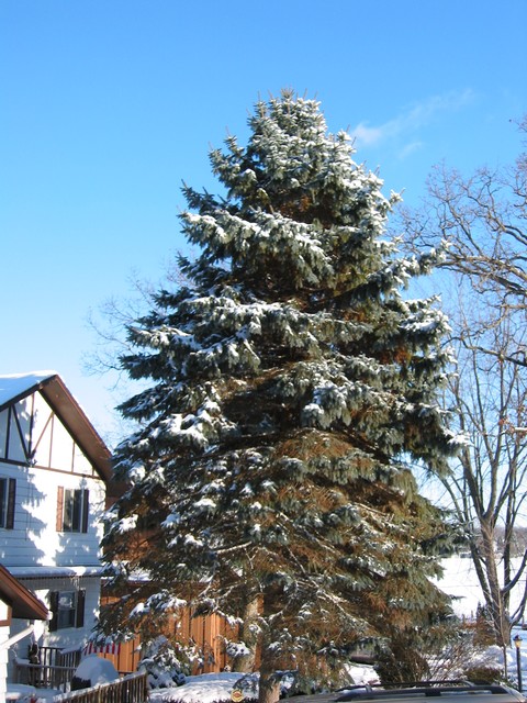 Wisconsin Winter 2006, photo 17