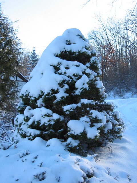 Wisconsin Winter 2006, photo 19