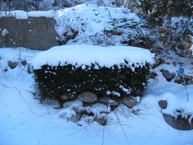 Wisconsin Winter 2006, photo 21