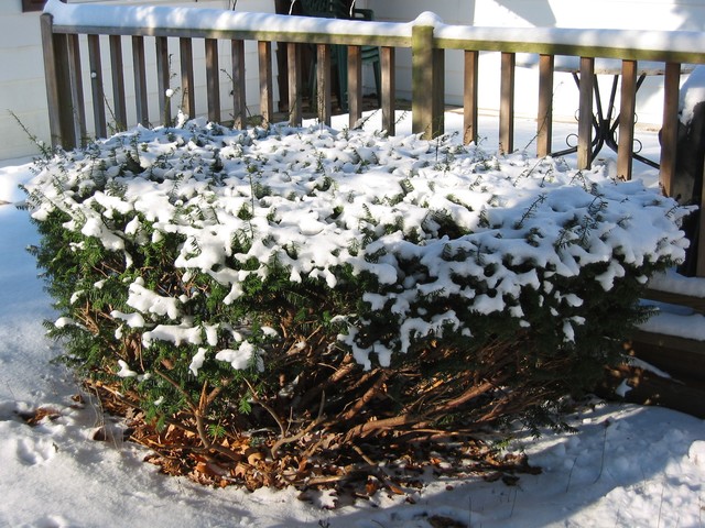 Wisconsin Winter 2006, photo 26