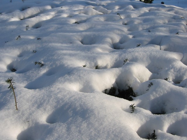 Wisconsin Winter 2006, photo 28
