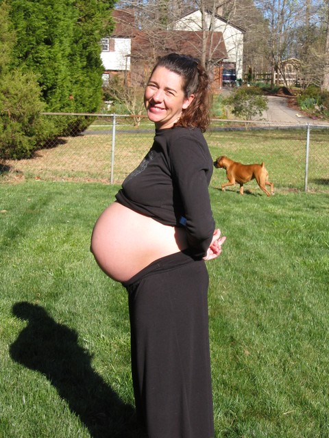 Kari's Pregnancy, photo 5