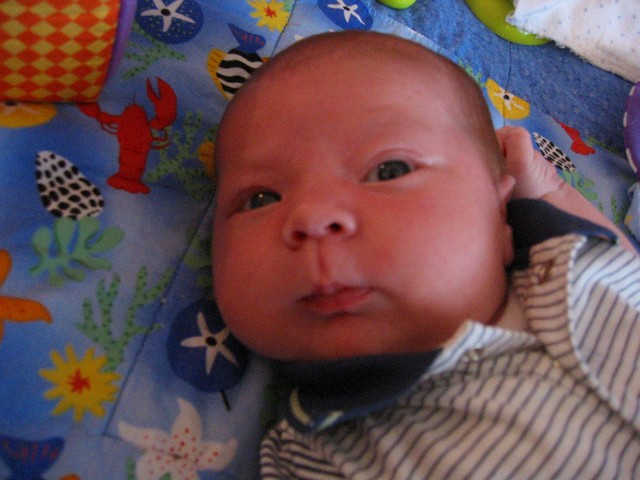 Ethan Nicholas Abad - 2006-04-20, photo 34