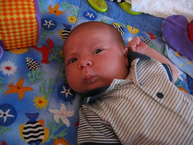 Ethan Nicholas Abad - 2006-04-20, photo 35