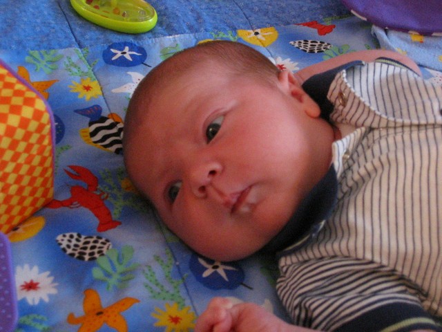 Ethan Nicholas Abad - 2006-04-20, photo 39