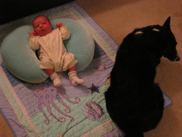 Ethan Nicholas Abad - 2006-04-30, photo 3