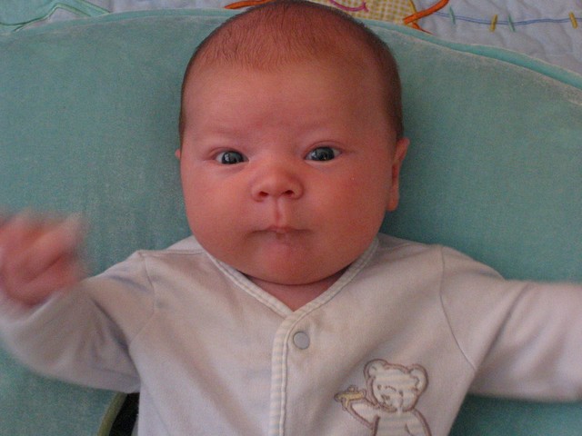 Ethan Nicholas Abad - 2006-04-30, photo 19