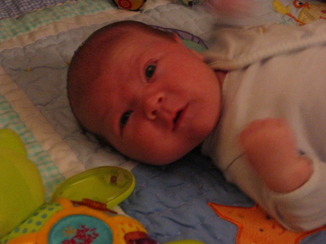 Ethan Nicholas Abad - 2006-04-30, photo 23