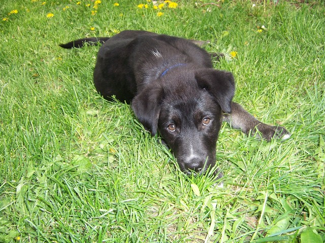 Riley NGO Feest, photo 1