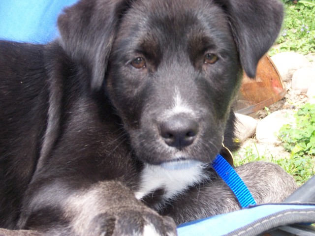 Riley NGO Feest, photo 4