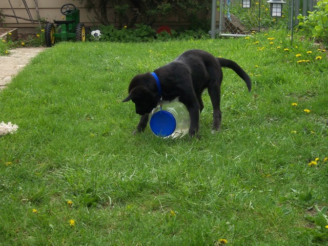 Riley NGO Feest, photo 7