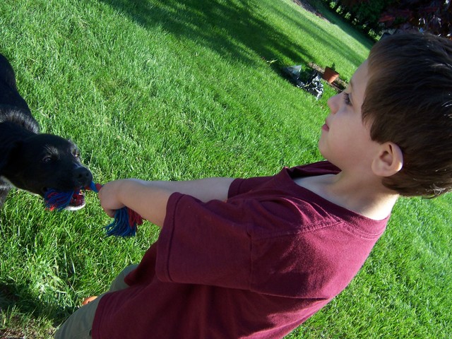Riley NGO Feest, photo 15
